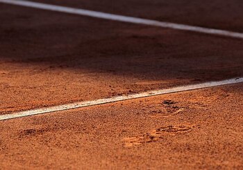 A shoe's print is displayed