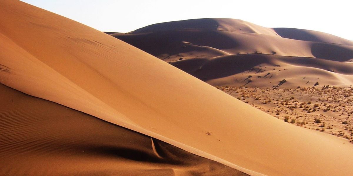 Namib, el desierto donde la niebla sostiene la vida en medio de la sequía