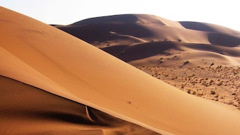 Millones de años seco y niebla diaria: lo que hace único al desierto del Namib
