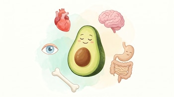 Ilustración de una palta feliz cortada al medio, rodeada por un corazón, cerebro, sistema digestivo, hueso y ojo, sobre fondo blanco con acuarela.