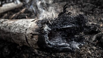 Brasil comienza 2024 con el