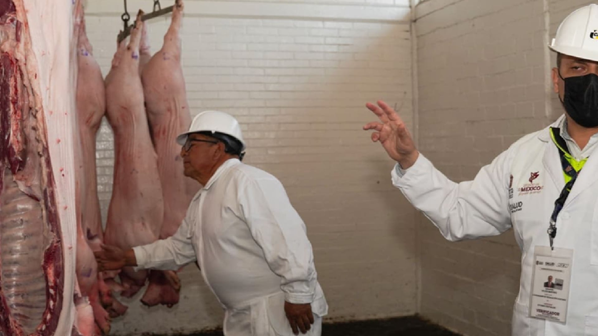 Autoridades mexiquenses están supervisando rastros municipales por gusano barrenador (Gob. Edomex)