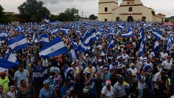 Organizaciones internacionales piden a la