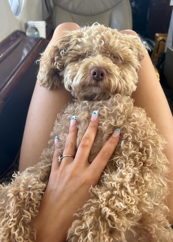 Milly Bobby Brown admitió que