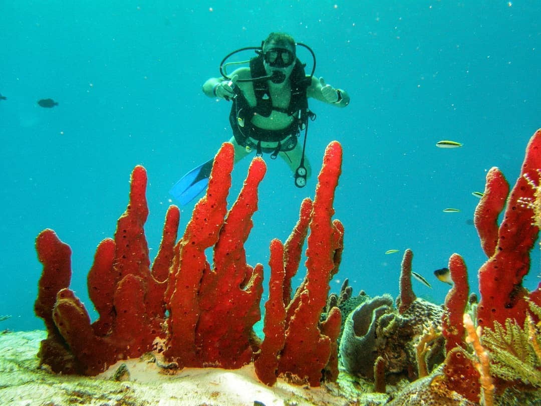 El ginecólogo y la madre de su hijo se conocieron en 2012, mientras practicaban buceo