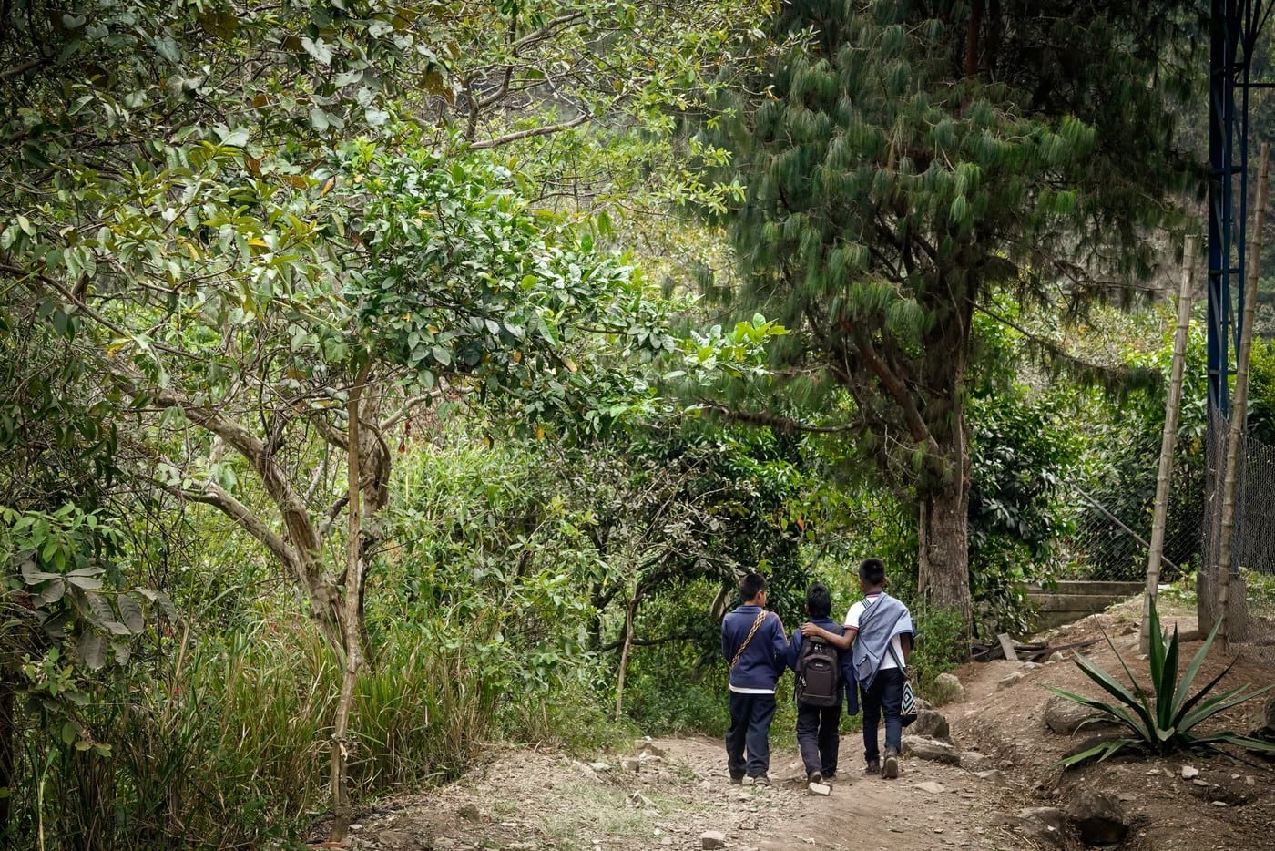 Imagen de referencia - Corpades señalaron que de ser cierto el video sería un eventual fracaso de las estrategias de paz del Gobierno nacional y departamental - crédito @NRC_LAC / X