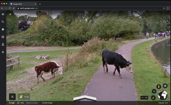 Con el uso de Google