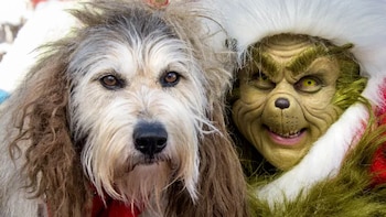 La conmovedora historia de cómo