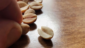 Maní listo para botanear(Crédito: Getty