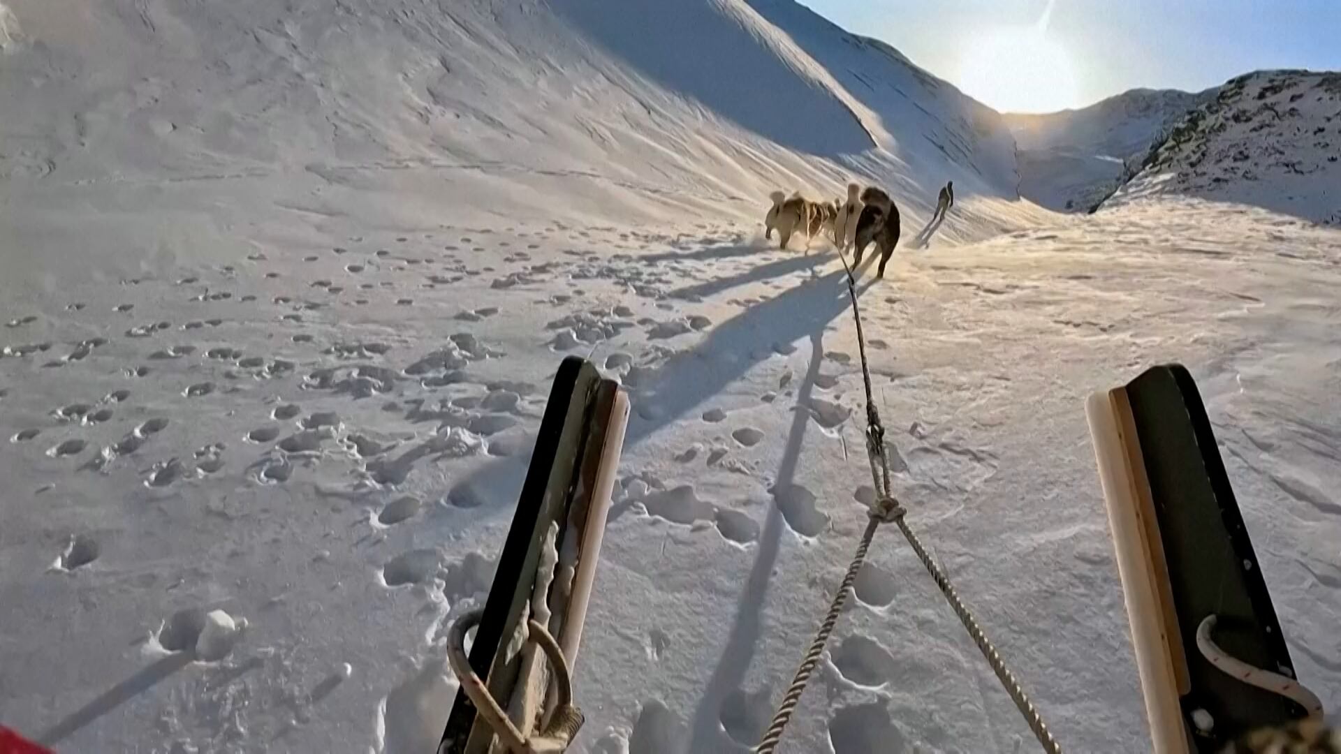 Patrulleros de Sirius esquían junto a sus perros recorriendo unos 30 kilómetros diarios durante misiones de hasta cinco meses. (AFP)