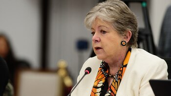 México admite que ciudadanos que