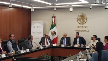 Comparecencia del titular de la