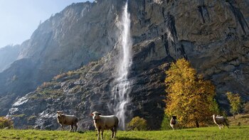 La cascada de Lauterbrunnen en