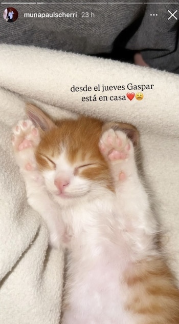 "Desde el jueves, Gaspar está en casa", expresó la adolescente junto a una tierna foto del felino durmiendo (Instagram)