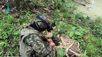 Ejército frustró atentado en Valdivia,