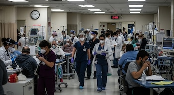 El brote de influenza en