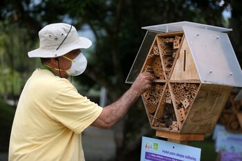 Hector Ivan Valencia limpia la estructura de madera del hotel de abejas en el Valle de Aburra, en Barbosa, Colombia, 21 de abril de 2021. REUTERS/Luisa Gonzalez