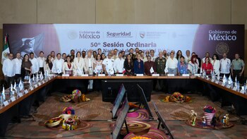 La presidenta Claudia Sheinbaum Pardo