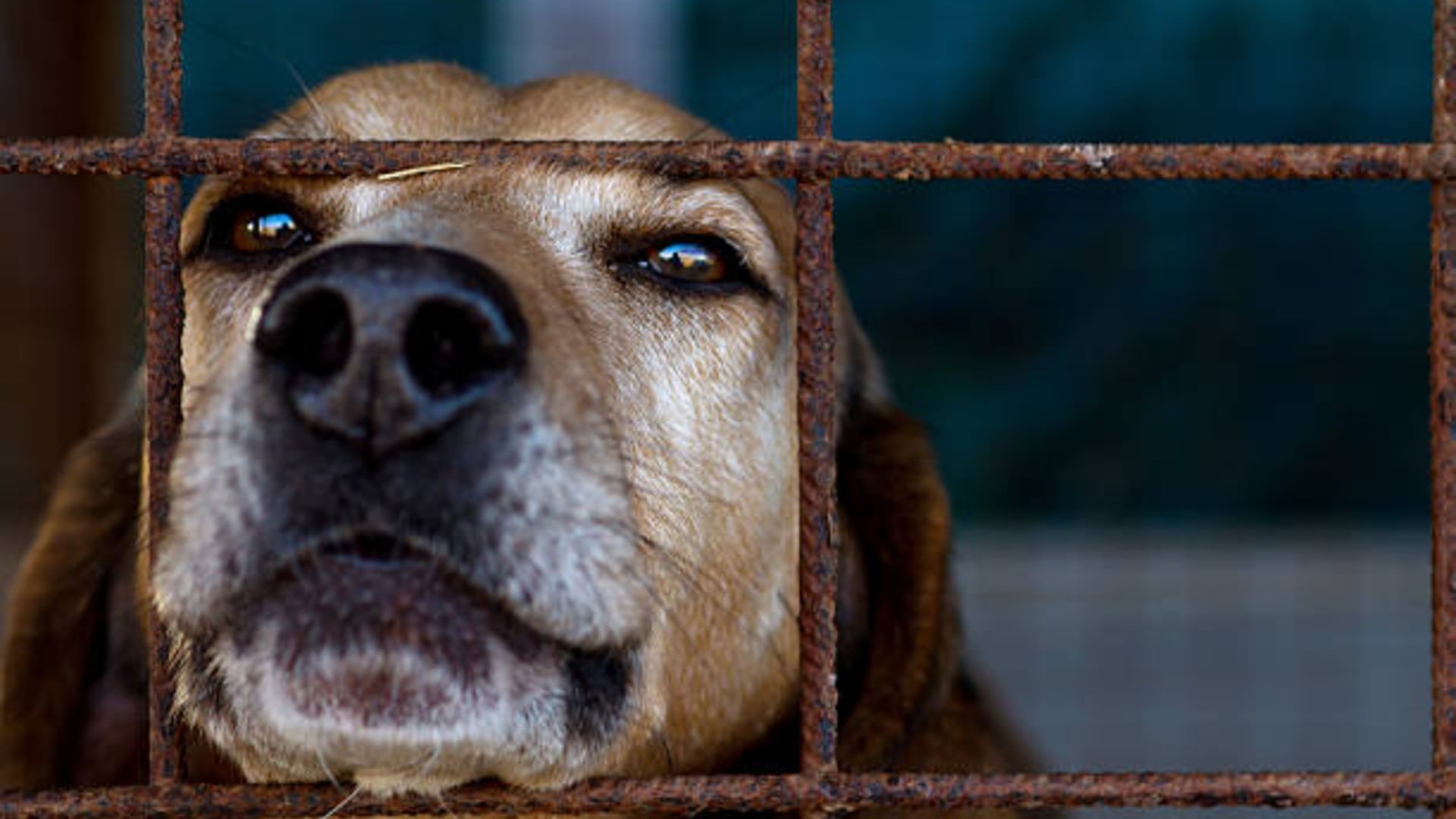 La marcha partirá rumbo al Zócalo capitalino. Foto: (iStock)