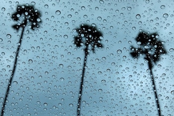 Meteorólogos alertan por vientos dañinos