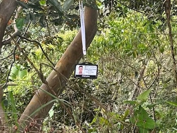 El carné de prensa de Mateo Pérez apareció colgado en la vereda El Roblal, lo que sugiere un intento deliberado de confundir a las autoridades - crédito @noticias45col/X