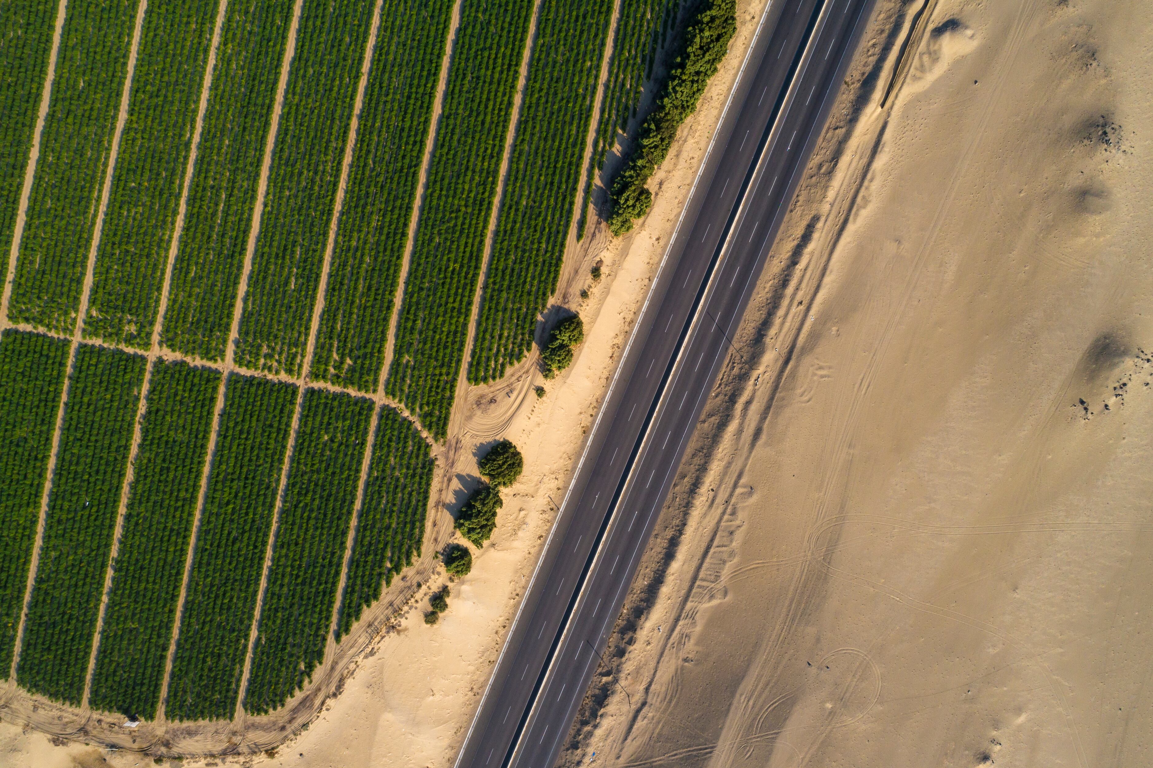 La nueva ley limita a solo el 25% las inspecciones de Sunafil sobre la agroindustria formal, beneficiando a siete de las diez mayores agroexportadoras del país.