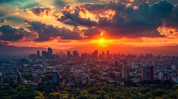 Temperatura, probabilidad de lluvia, nubosidad y rayos ultravioleta son algunos de los datos que debes de saber antes de salir de casa. (Infobae/Jovani Pérez)