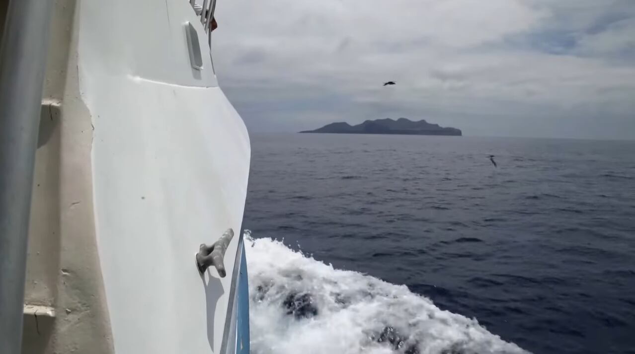 Este oasis remoto del Archipiélago de Revillagigedo alberga especies endémicas que enfrentan desafíos únicos debido a la introducción histórica de mamíferos foráneos (Canal Once)