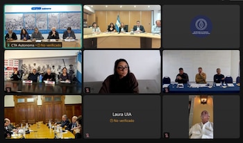 Captura de pantalla de una videollamada dividida en nueve casillas con grupos de personas reunidos en mesas y participantes individuales