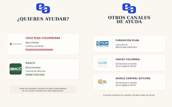 La tenista difundió canales de ayuda para los afectados por el terremoto en sus redes sociales - crédito @emiarango/Instagram