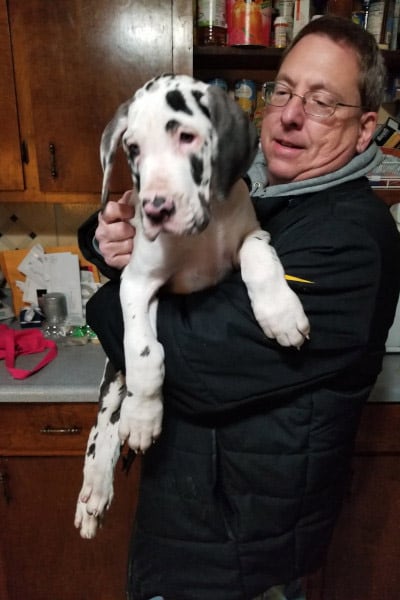 La evolución de Minnie destacó desde los dos meses, cuando ya era más grande que otros cachorros, llegando a pesar 16 kilos antes de cumplir el año (Guinness World Records)