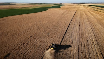 En medio de la crisis