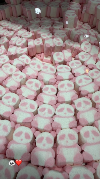 Una gran cantidad de malvaviscos blancos y rosados en forma de pequeños osos panda, apilados uno al lado del otro