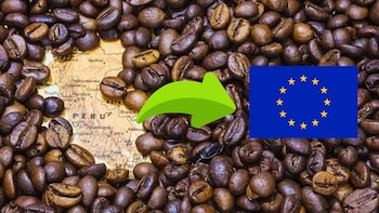 Exportación en café peruano se