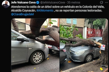 Imagen YCN2SJ5UXZH6VDA7VSPQ4LEIIU