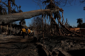El Departamento de Bomberos del condado de Los Ángeles reforzó la dotación y preposicionó recursos para responder con rapidez ante incendios forestales (REUTERS/Shannon Stapleton)