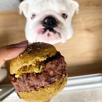 Las hamburguesas están hechas solo