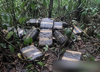 La droga era trasladada por tierra desde Nariño hasta Ecuador y luego enviada a Estados Unidos por rutas marítimas hacia Guatemala, Honduras y México - crédito Ejército Nacional