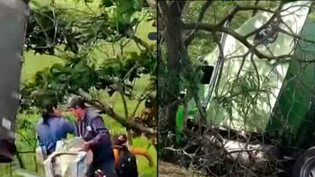 Decenas de personas aprovecharon un