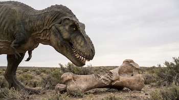 Un Tyrannosaurus rex de perfil mira un hueso fósil con marcas de mordida en un paisaje de vegetación baja bajo un cielo nublado.