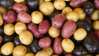 En el Perú existen más