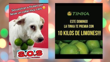 Usuarios crean memes por el