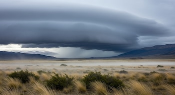 Primer plano de vegetación patagónica azotada por el viento. Una bruma avanza sobre campos con pastizales secos y montañas bajo nubes densas de tormenta en la Patagonia.