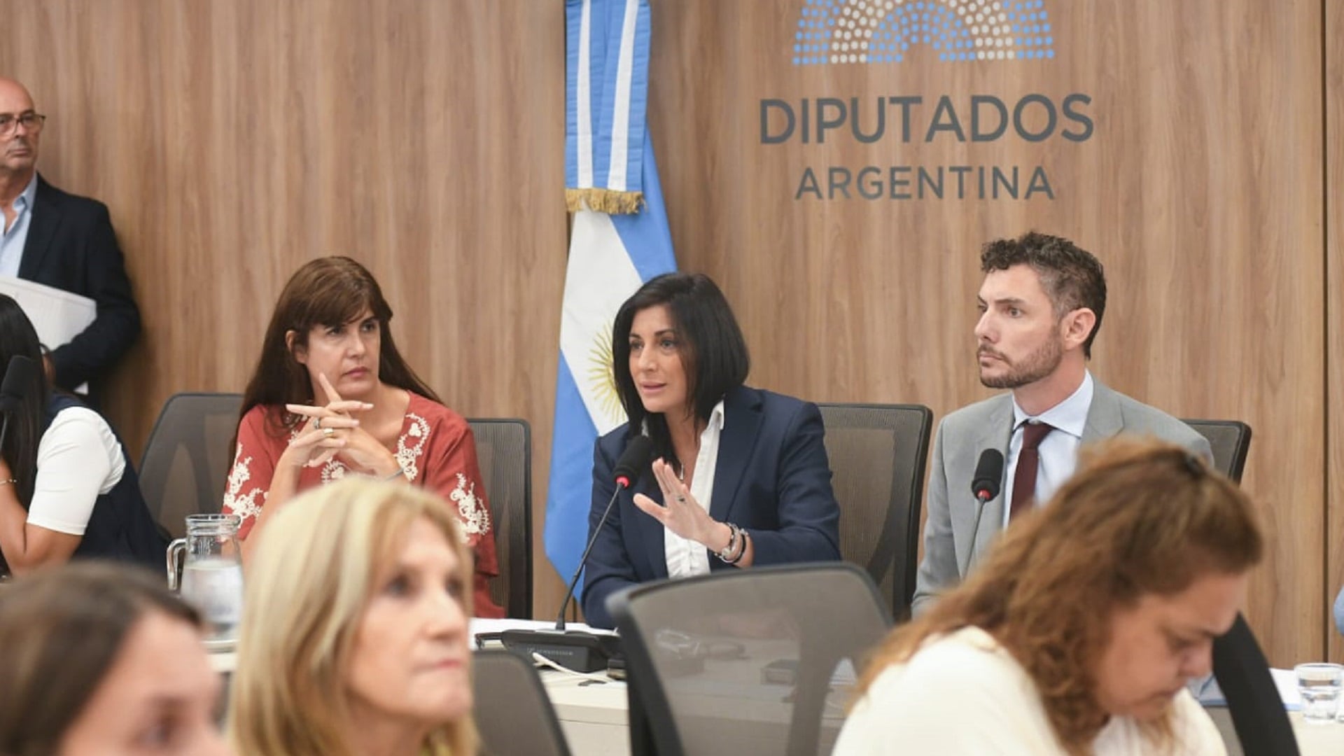 Plenario de las comisiones de Mercosur y Relaciones Internacionales