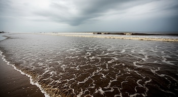 Una playa bajo un cielo nublado y gris, con olas de agua marrón opaca y espumosa rompiendo en la orilla de arena oscura, sin personas visibles.