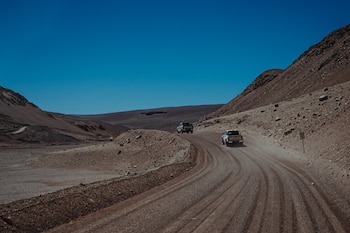 Minero Vicuña
