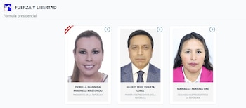 Lista de vicepresidentes en Perú 2026: estos son los acompañantes de cada candidato: Captura: ONPE.