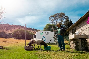Proyectos privados contribuyen a luchar contra la escasez de agua potable