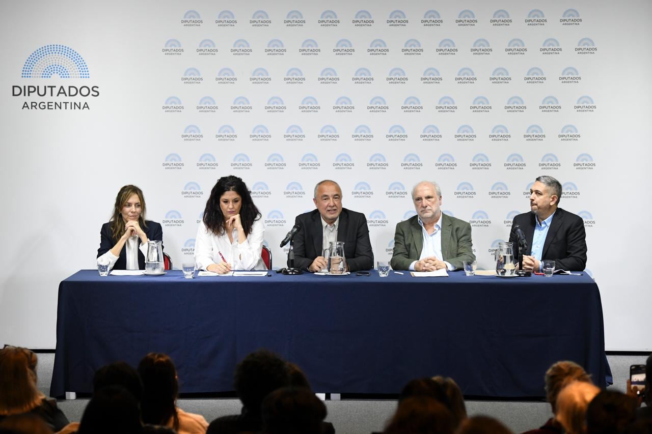 En la Cámara de Diputados: Grace Spinelli, Susana Al Halabi, José Errasti, Marino Pérez Álvarez y Ezequiel Baigorria. El panel fue introducido por Julio Pohl, asesor legal para América Latrina en ADF Internacional