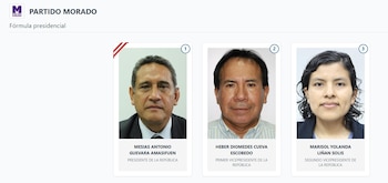 Lista de vicepresidentes en Perú 2026: estos son los acompañantes de cada candidato: Captura: ONPE.